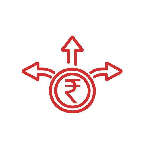 Repayment Options